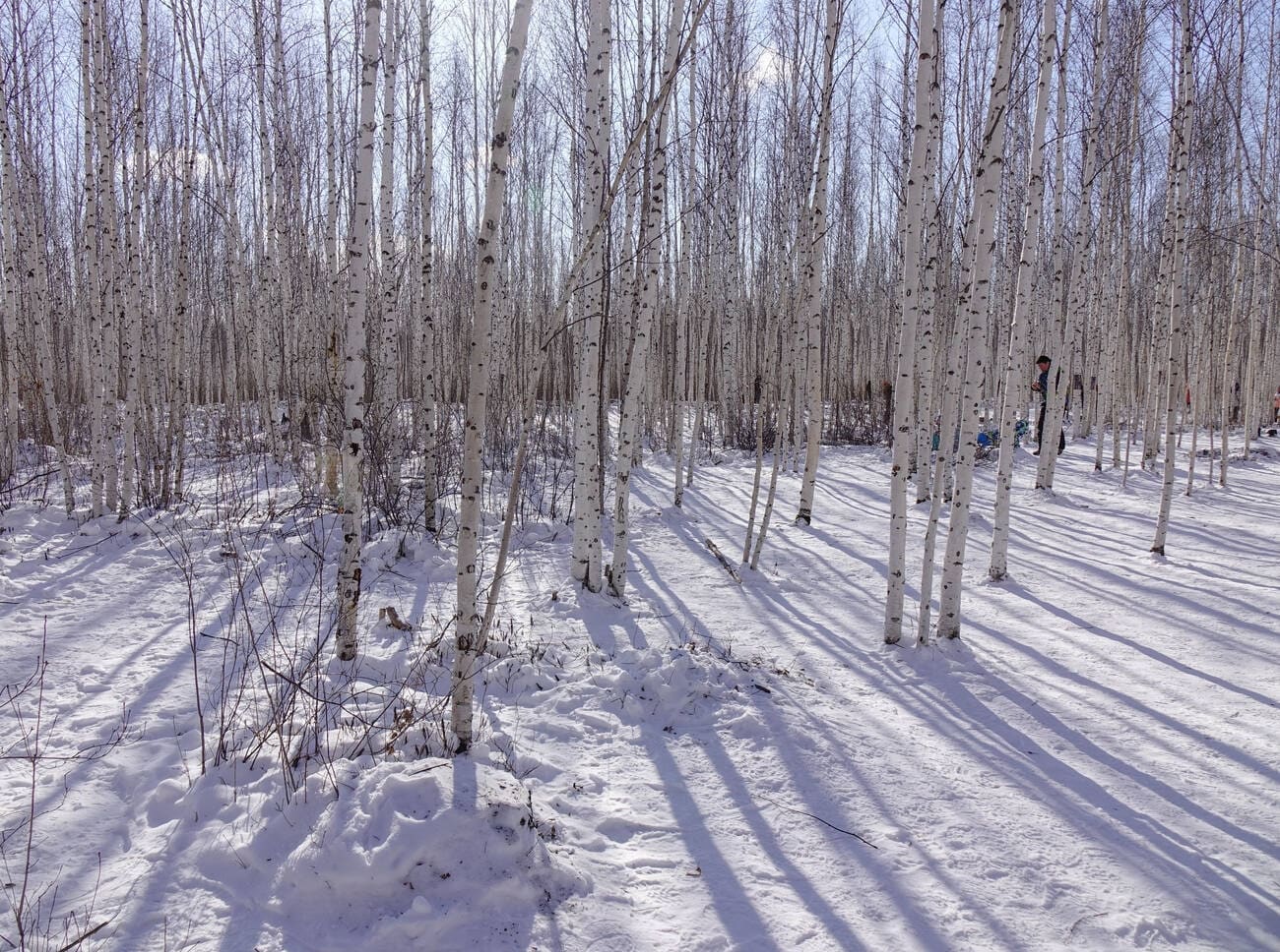 Into the Arctic — Mohe's Frozen Frontier