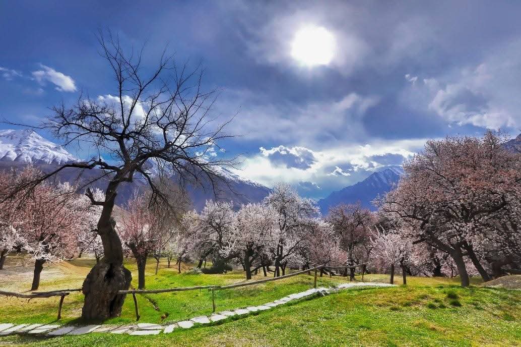 Peaks, Passes & Ancient Paths: A Hunza Valley Journey (7D6N) thumbnail 3