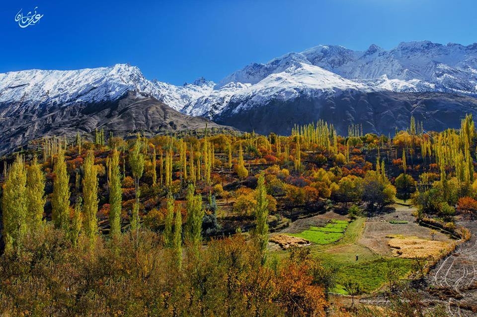 Peaks, Passes & Ancient Paths: A Hunza Valley Journey (7D6N) thumbnail 5