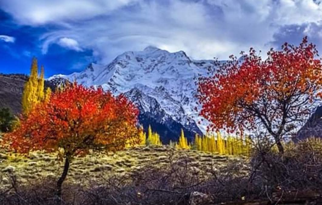 Peaks, Passes & Ancient Paths: A Hunza Valley Journey (7D6N) thumbnail 6