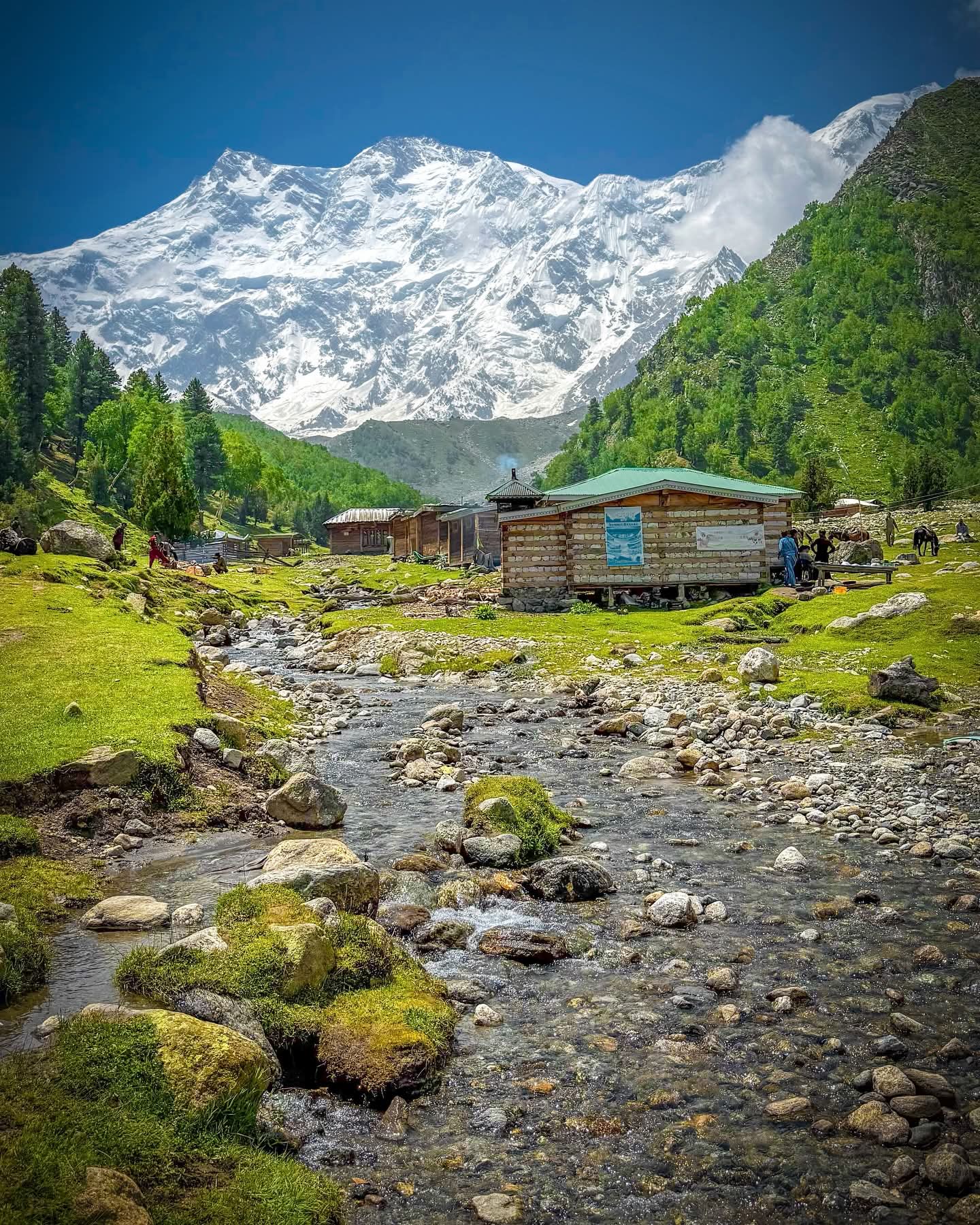 Peaks, Passes & Ancient Paths: A Hunza Valley Journey (7D6N) thumbnail 9