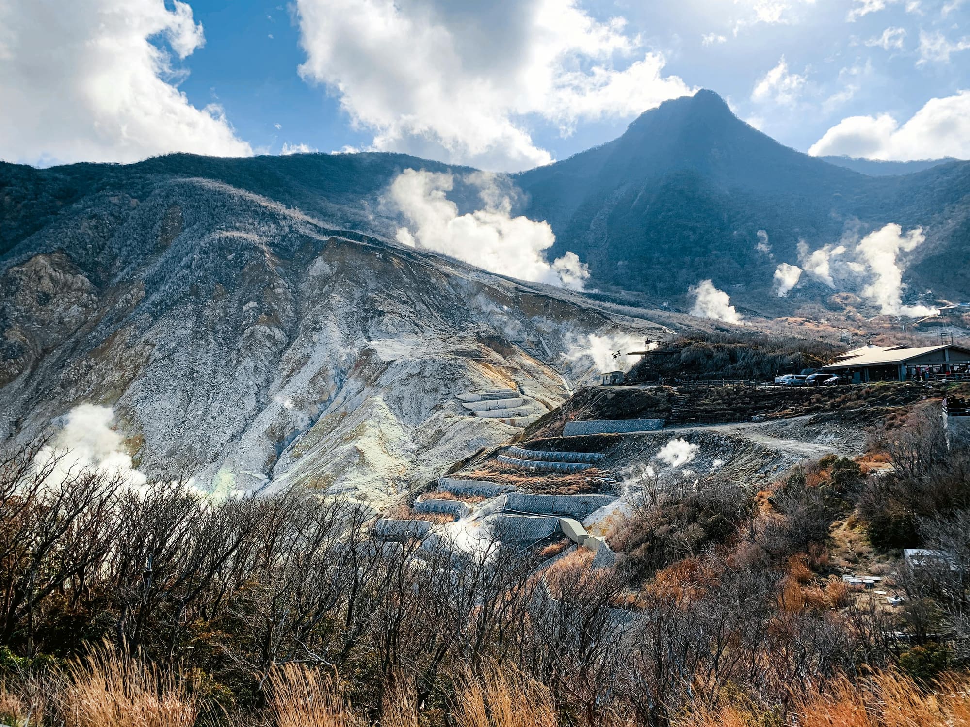 Hakone to Tokyo: Volcanoes & Temples