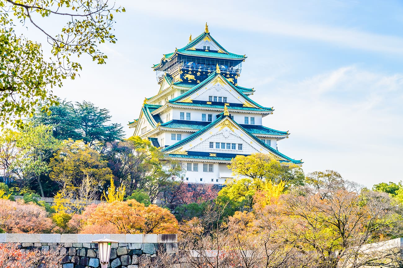 Japan Discovery: Osaka, Kyoto, Hakone & Tokyo (8D7N) thumbnail 4
