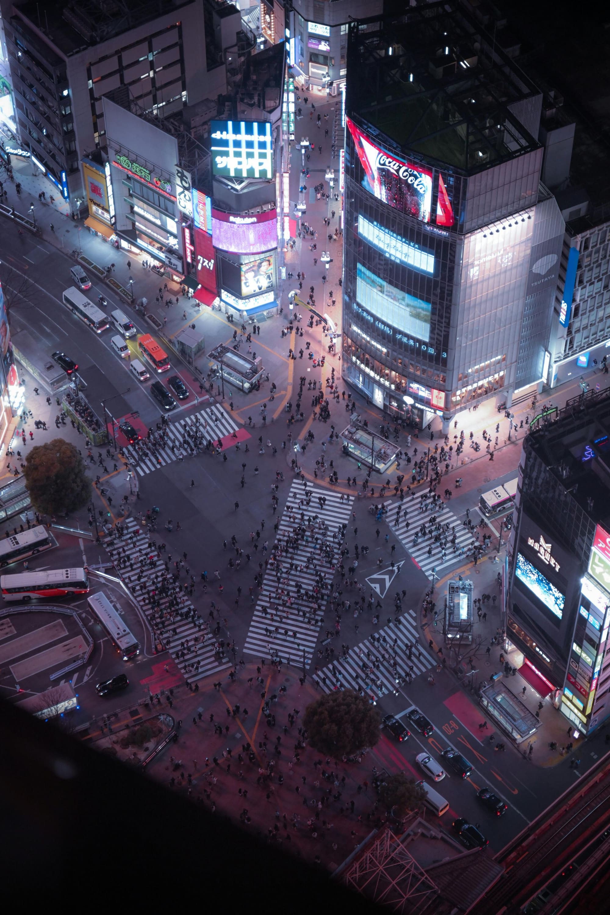 Japan Discovery: Osaka, Kyoto, Hakone & Tokyo (8D7N) thumbnail 6