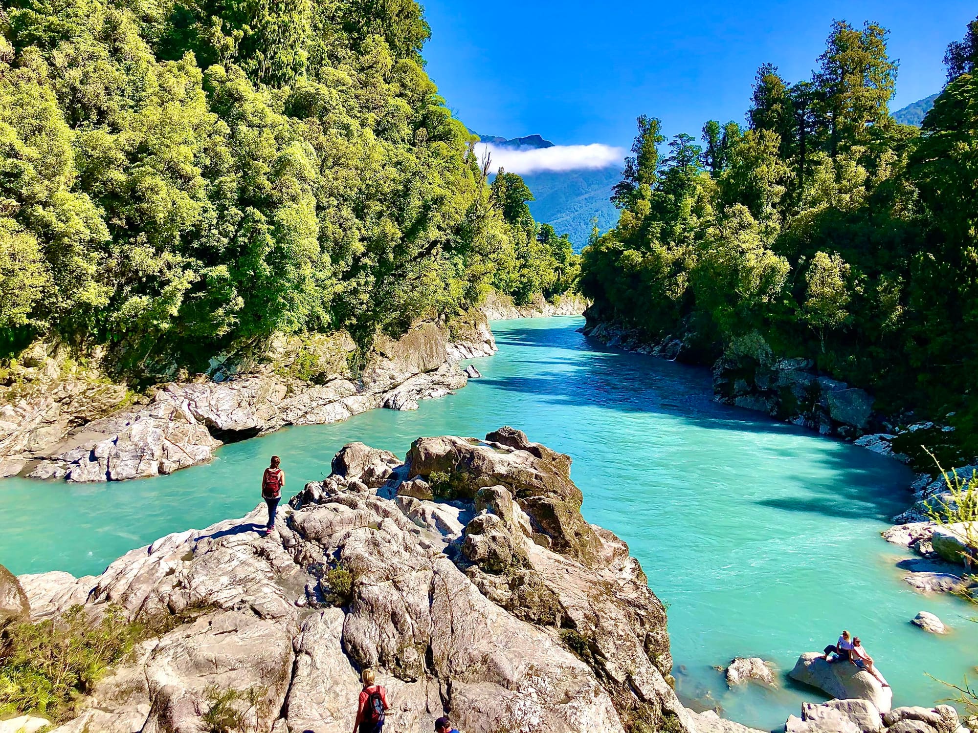 Glowworms & Geothermal Wonders – Waitomo to Rotorua