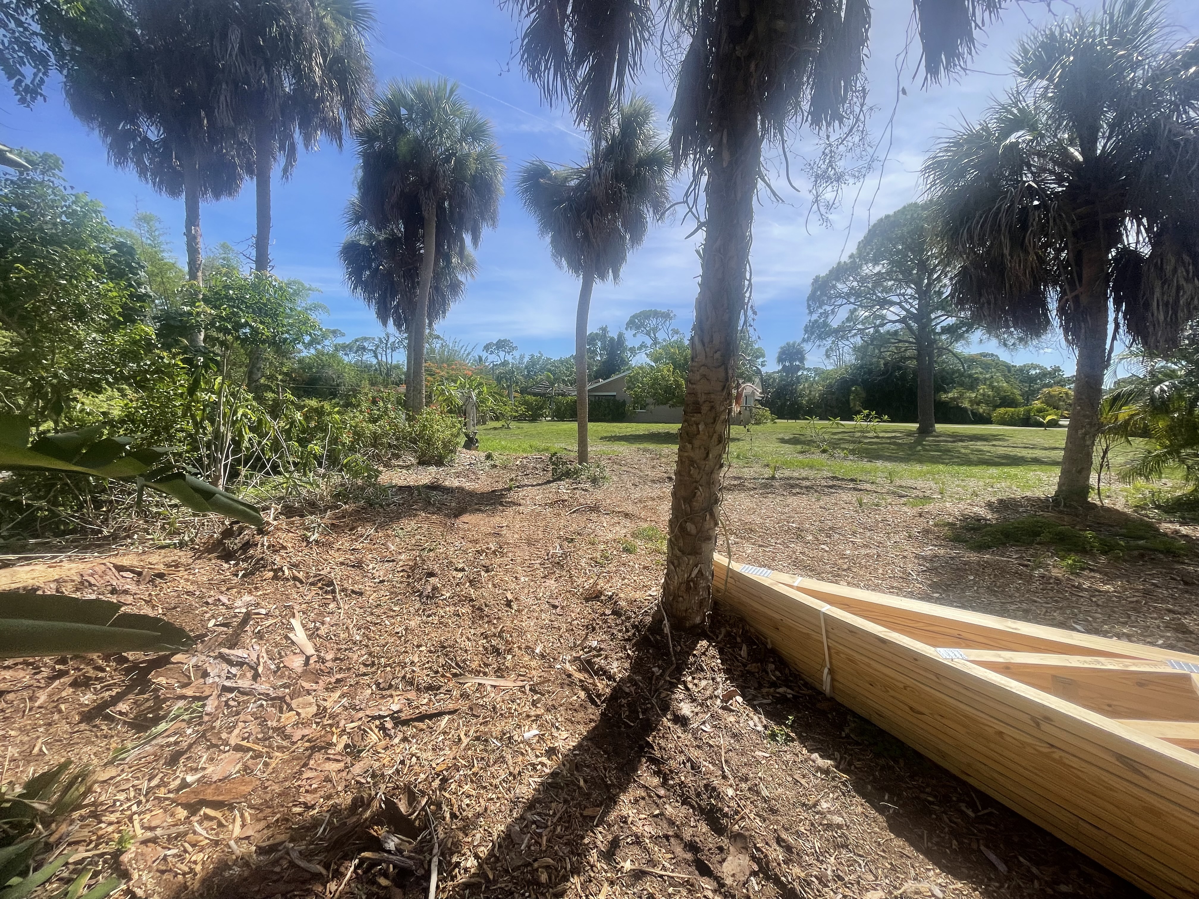 Land Clearing Test Image
