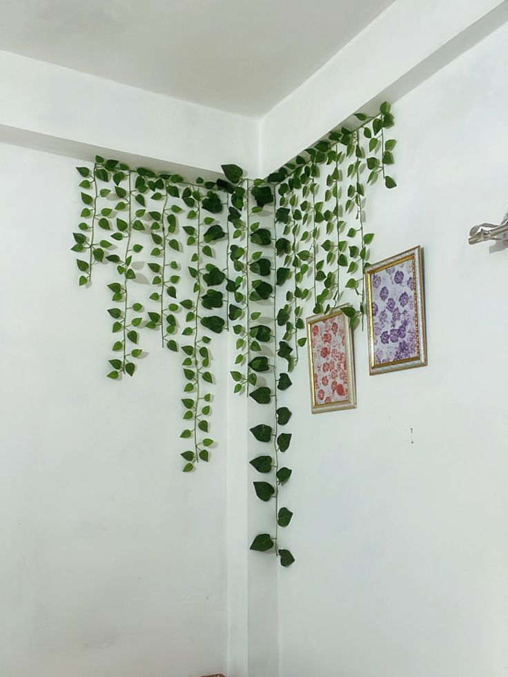 vine leaves  thumbnail 4