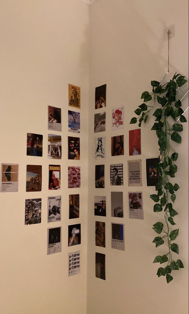 aesthetics wall posters  thumbnail 3
