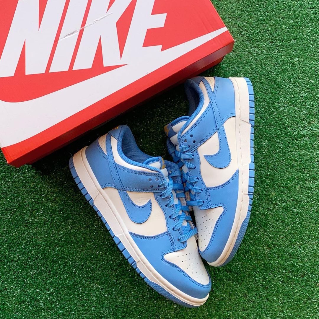 Nike SB low dunk