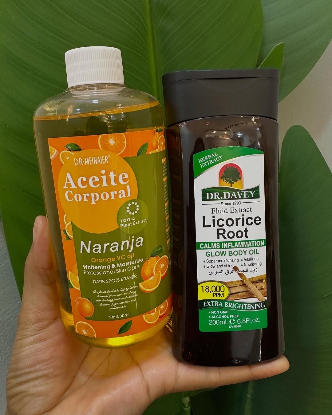 Licorice Root Oil - Image 1