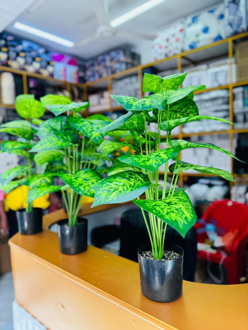 ARTIFICAL PLANT TREES thumbnail 2