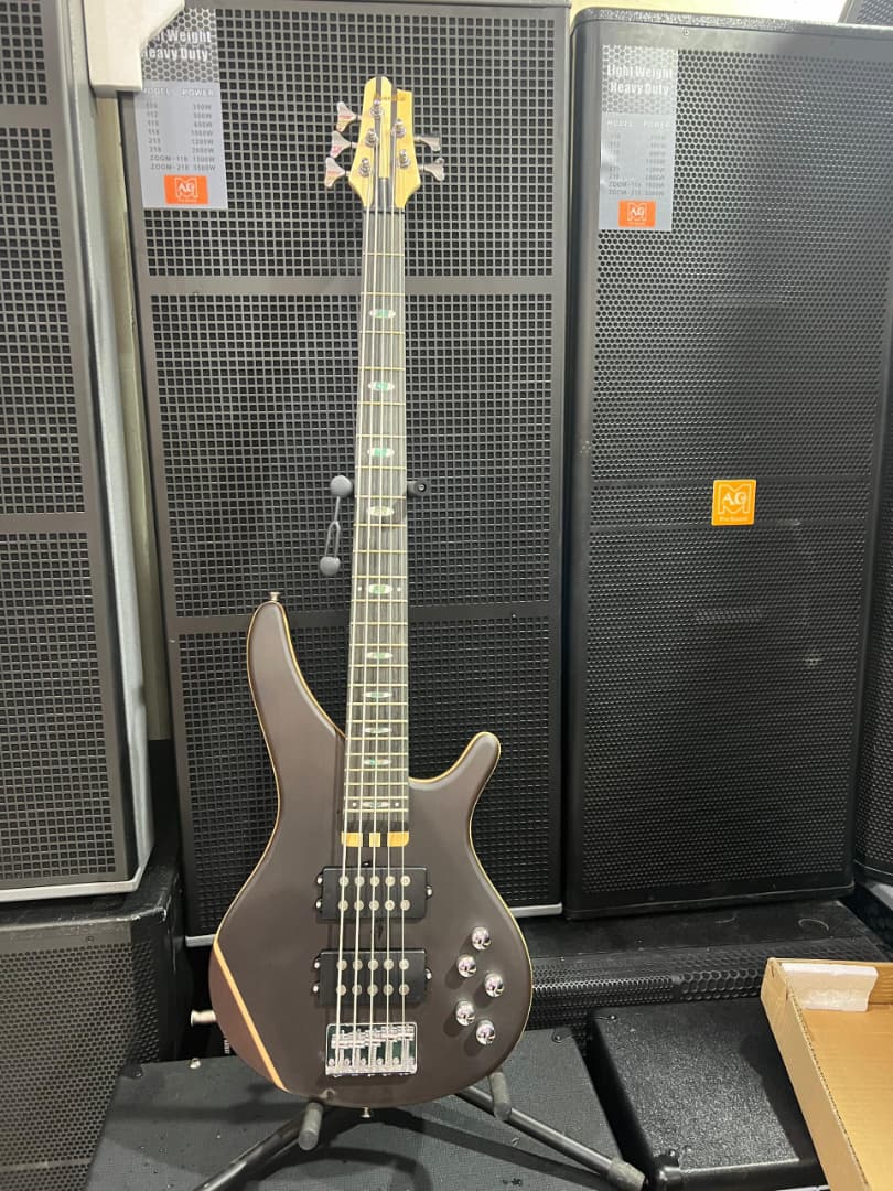 Ibanez bass guitar 