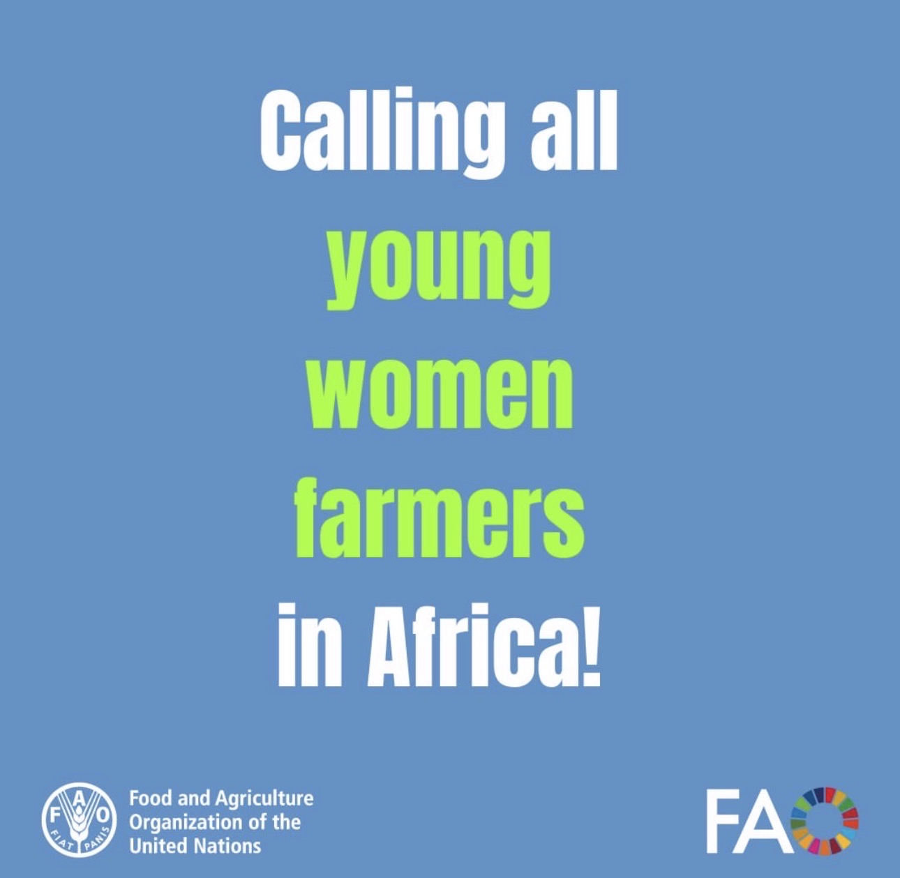 FAO EYPA Mentorship Journey