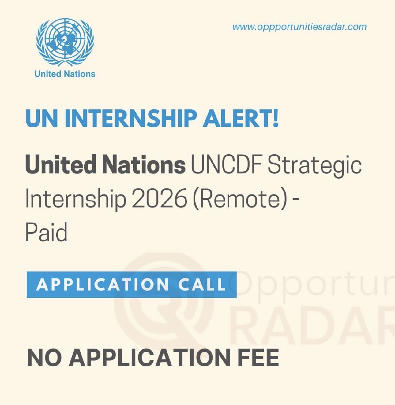 UN INTERNSHIP