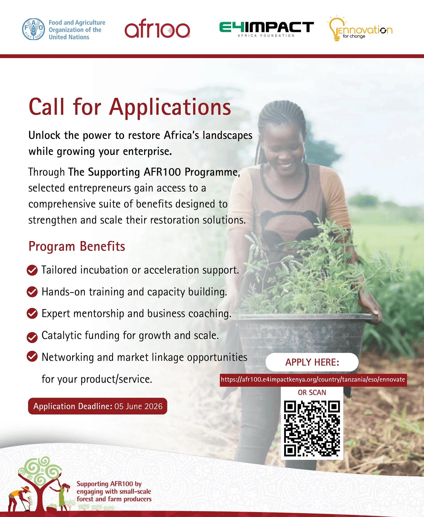 The AFR100 Entrepreneurship Incubation & Acceleration Programme