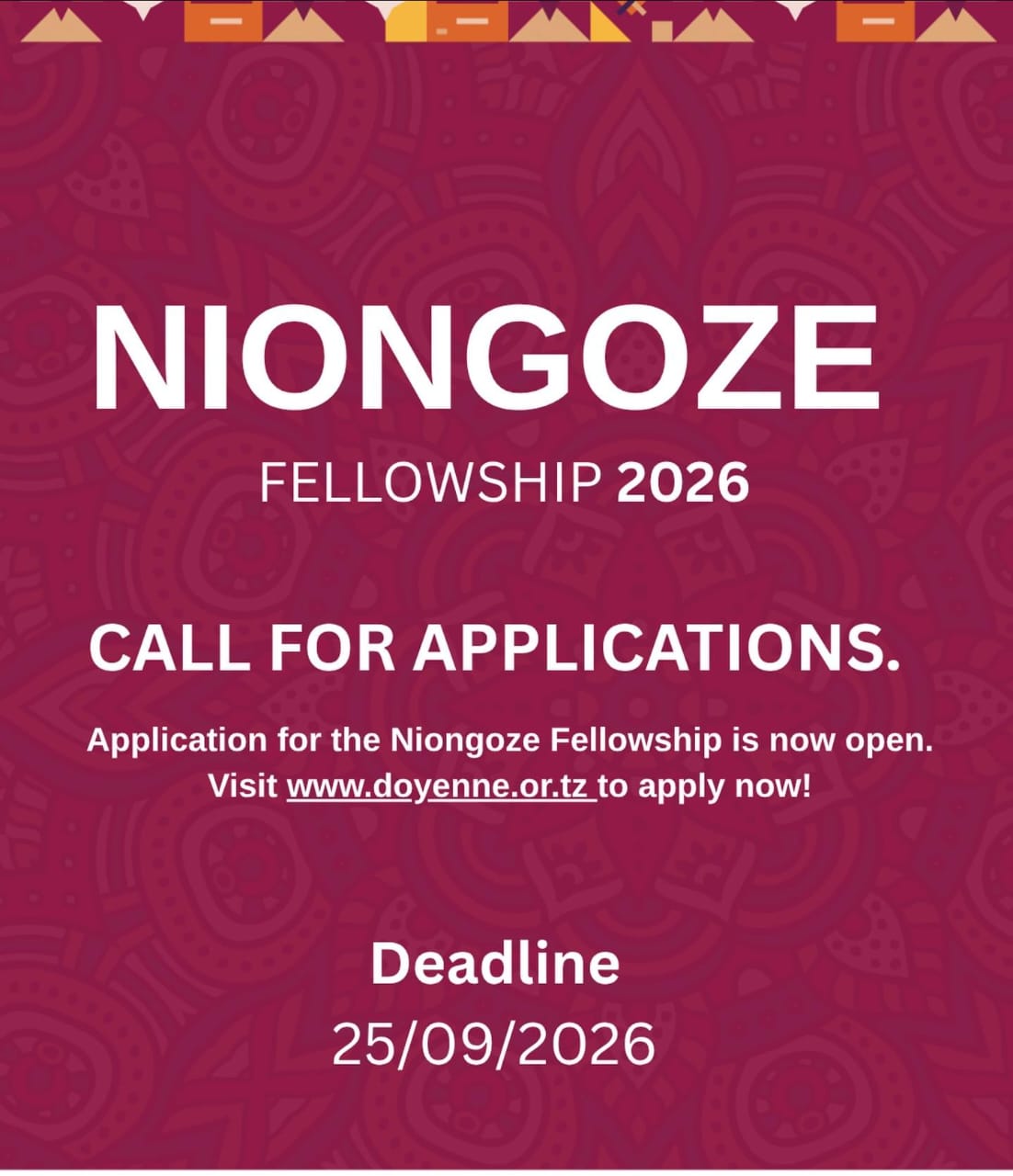 Niongoze Fellowship 2026