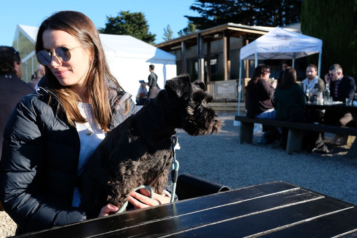 T'Gallant Cellar Door & Pizzeria in Main Ridge, Victoria.