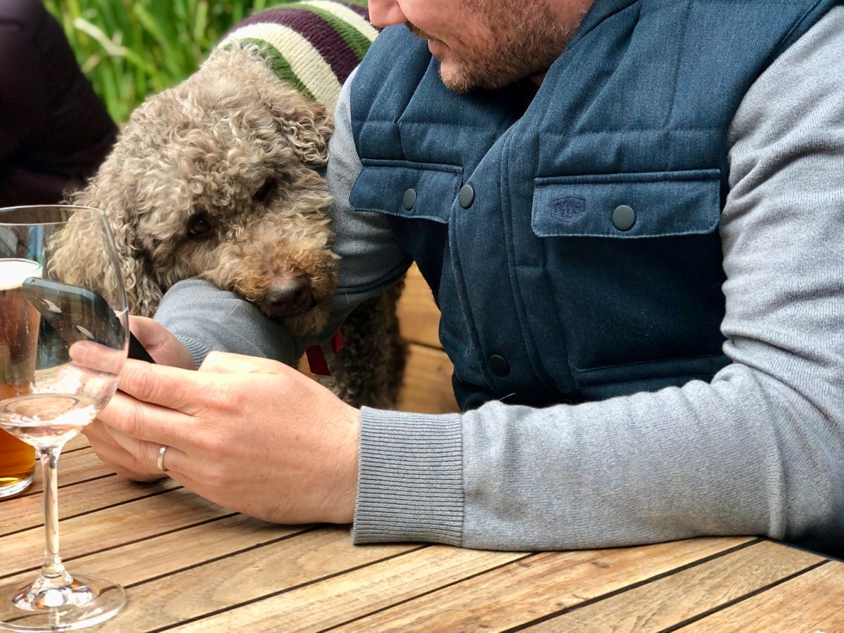 Harlow in Richmond, Victoria.