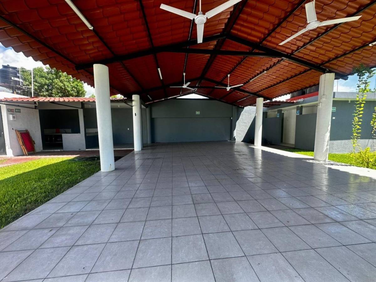 Terraza Jazmínes — imagen 11