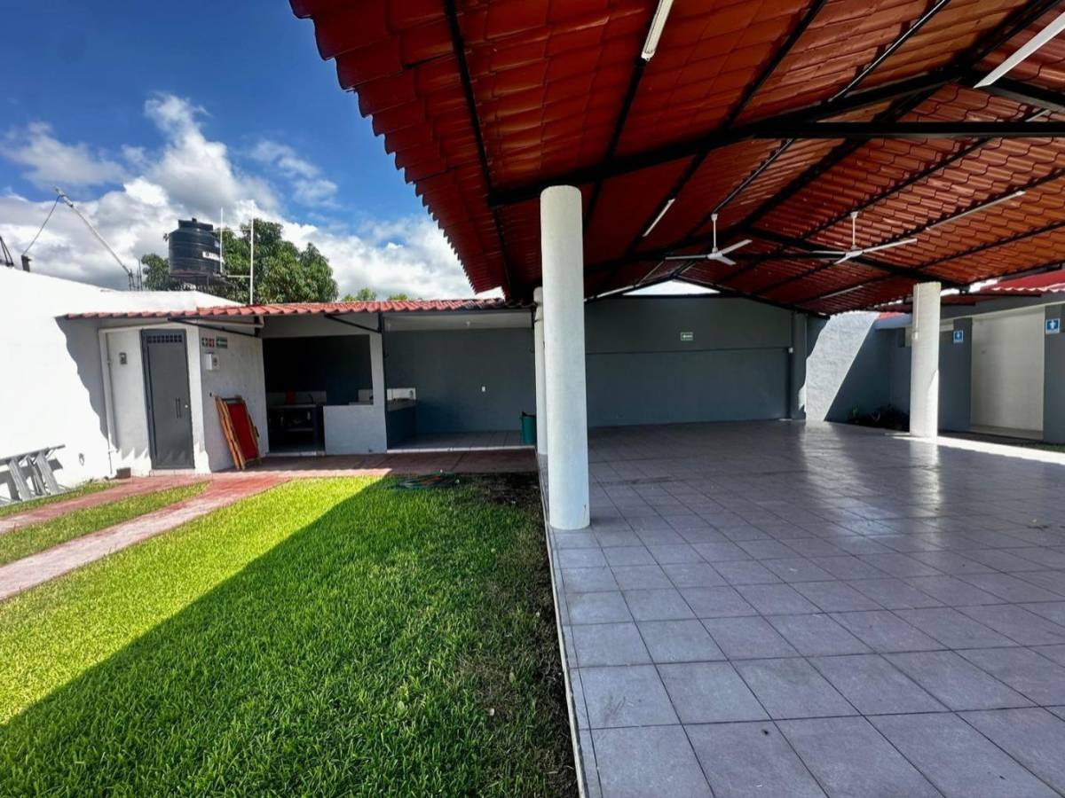 Terraza Jazmínes — imagen 7