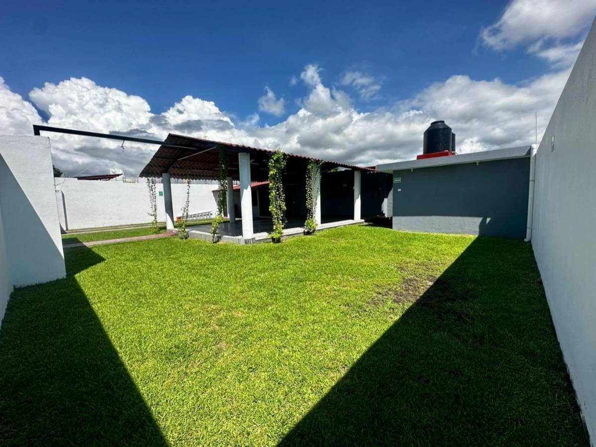 Terraza Jazmínes — imagen 9