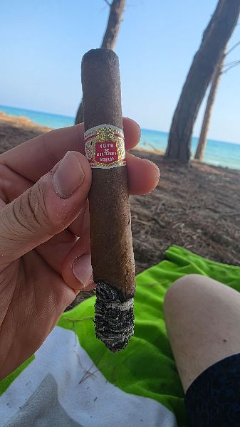 Hoyo de Monterrey Palmas Extra shared by Riccardo
