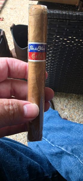 Perdomo Gold shared by Sir