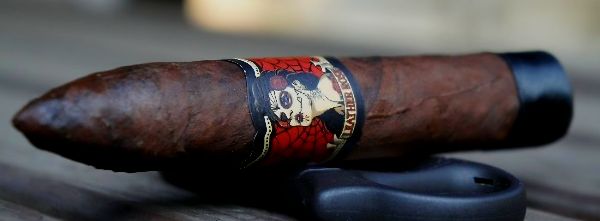 Deadwood Leather Rose shared by mrrepo419