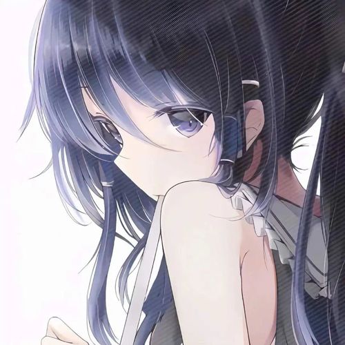 みーと
