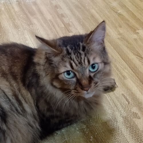 ゆばご（男！！！）