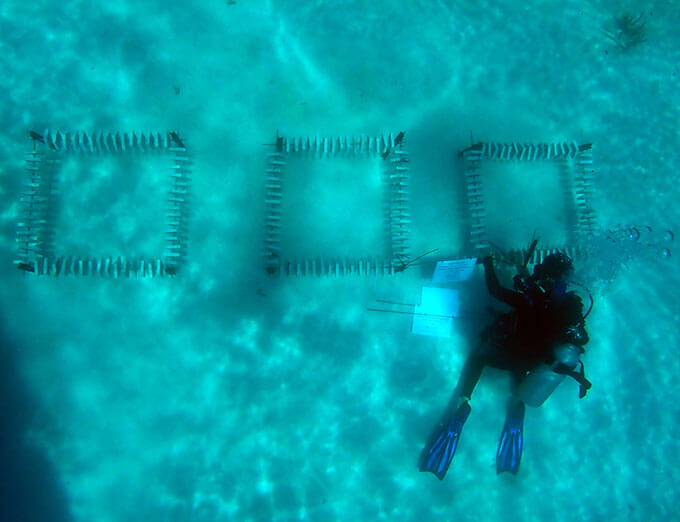 A diver inspects recruitment tiles, Vlasoff Reef