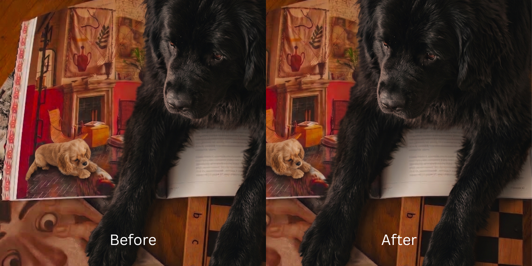 How to Improve a Black Dog or Cat Photo Taken in Low Light How to Improve a Black Dog or Cat Photo Taken in Low Light