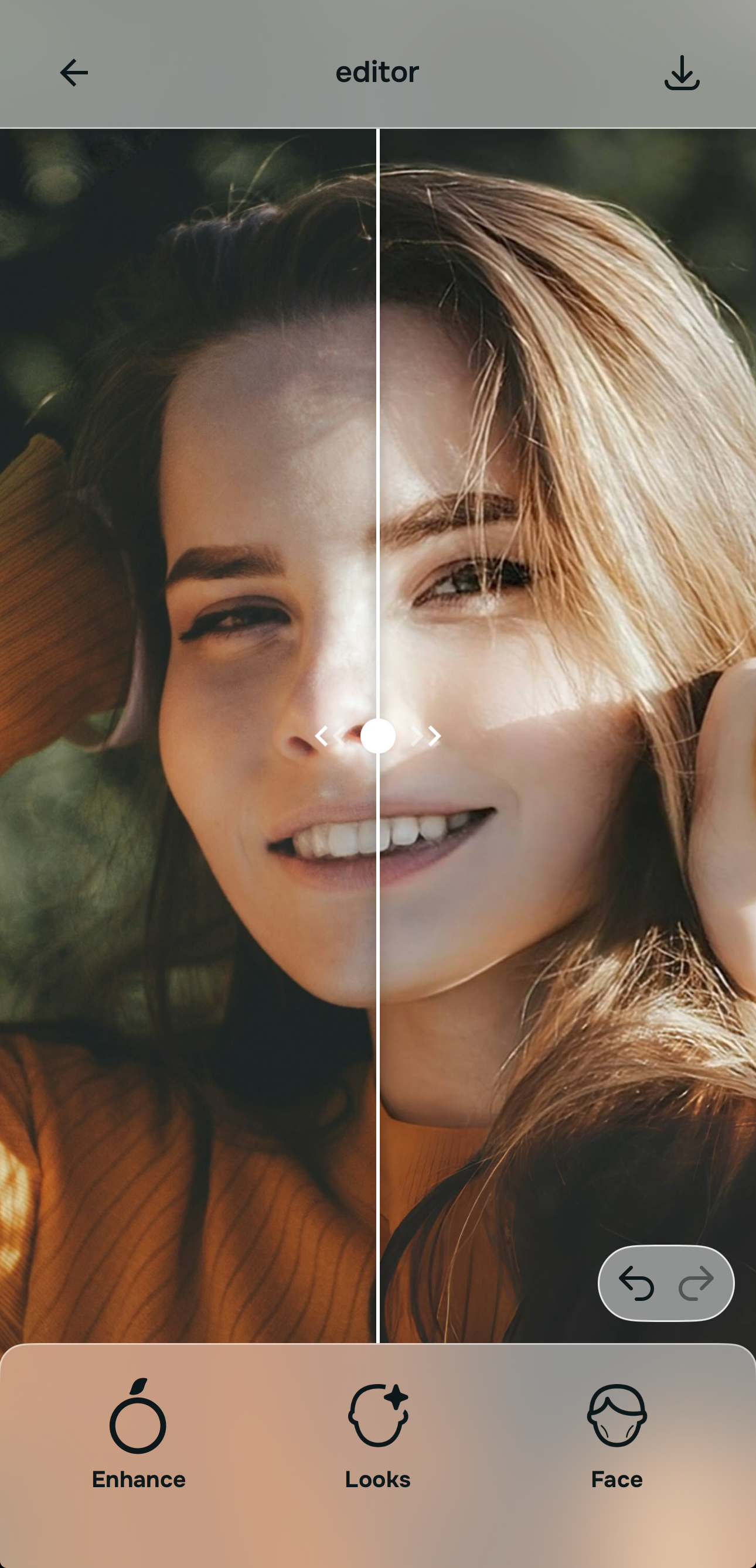 Using Looks and Face tools in Citrus