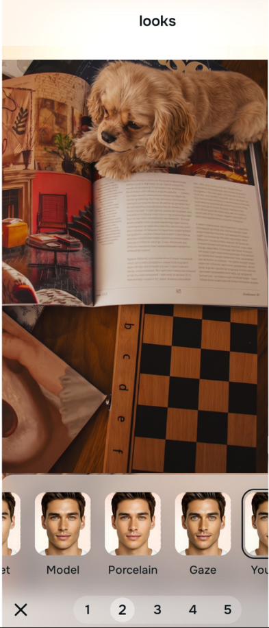 Using the Looks Porcelain menu to restore natural dimensional contrast to the pet's coat
