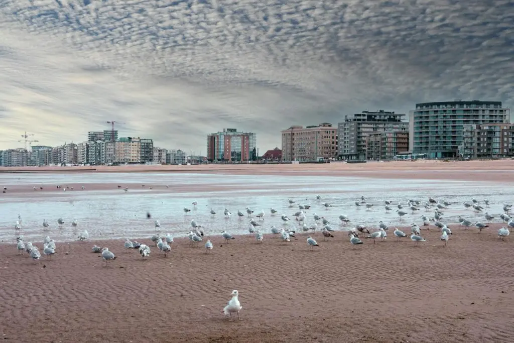 City Game Ostend Beach