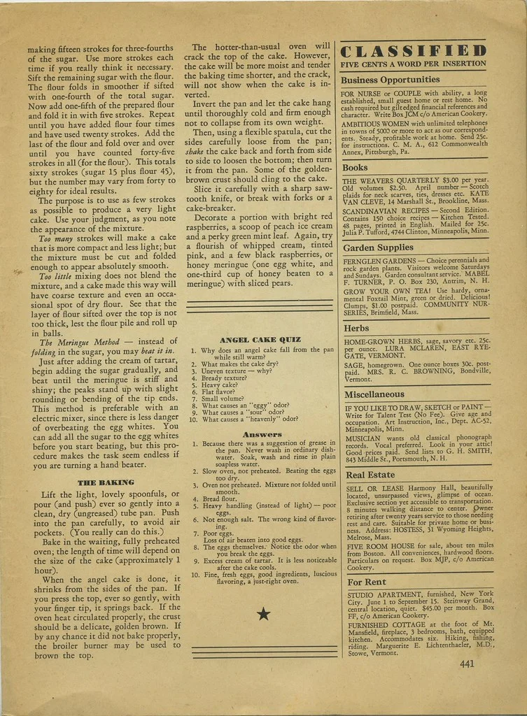 Frog & Gecko Quiz Night