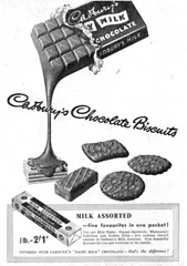 Moonlit Beach Festival Presents Biscits