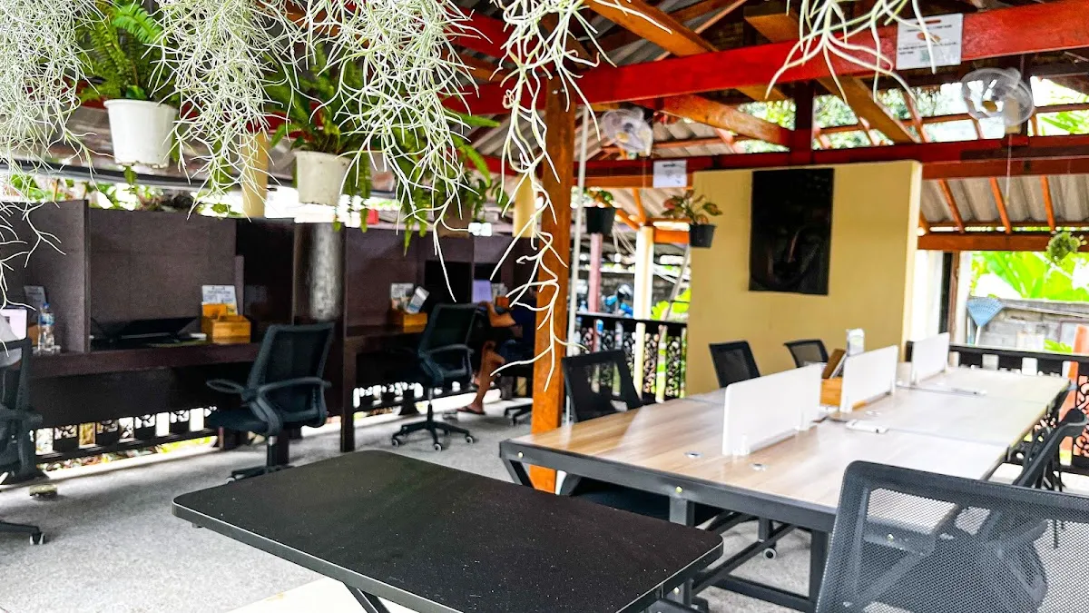 Organic Coworking Club - Amy Village