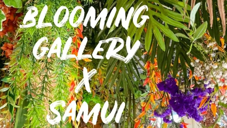 Blooming Gallery Cafe & Restaurant Samui photo 3