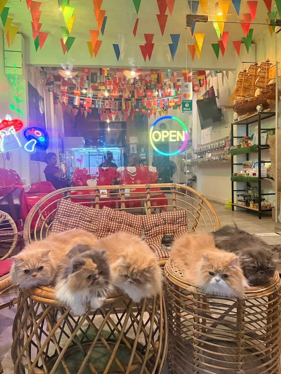 Amsterdam Cafe photo 2