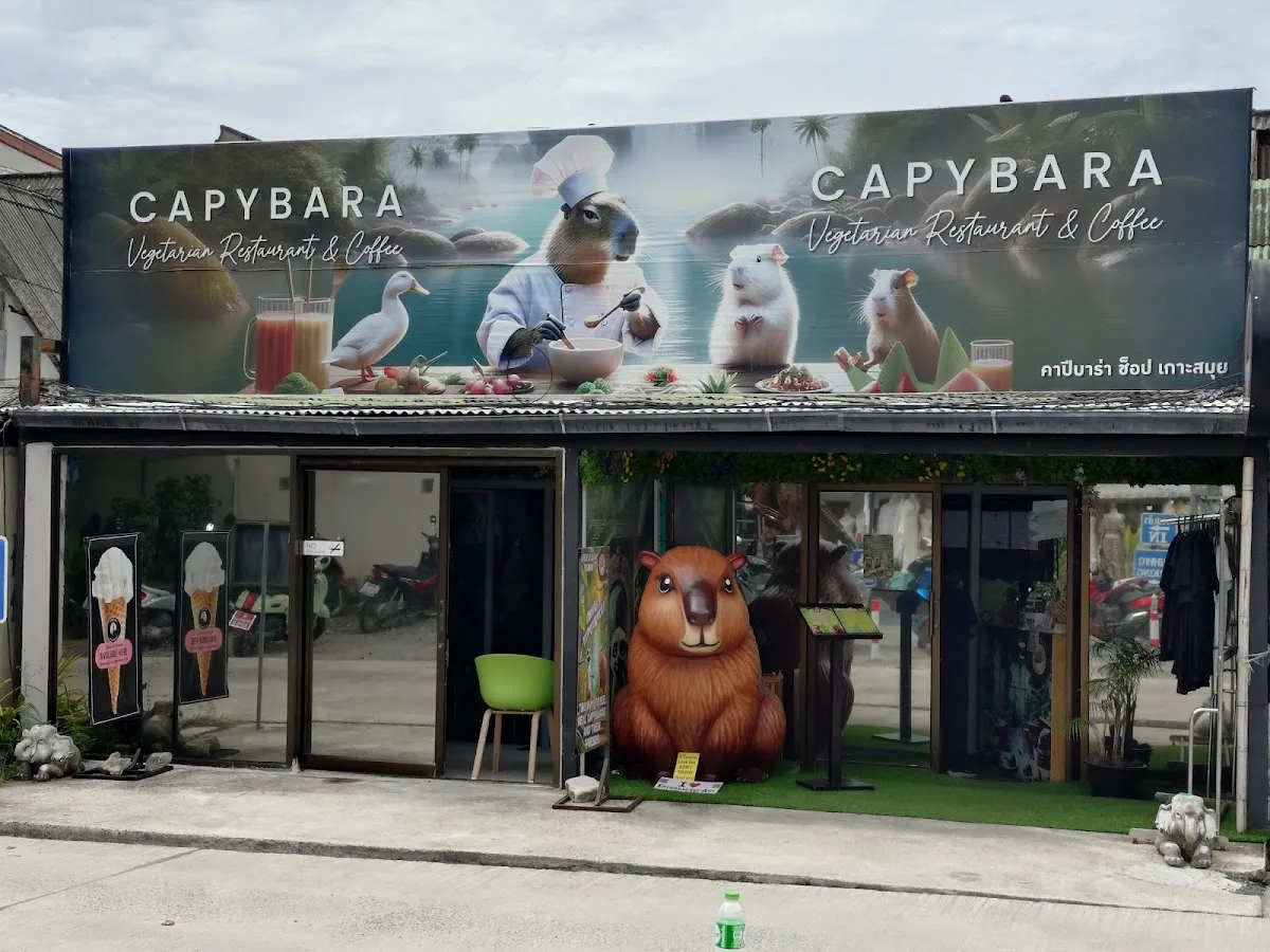 Capybara Coffee Samui
