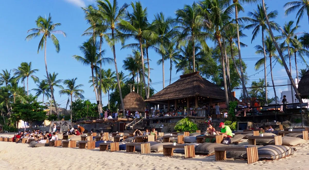 Coco Tam’s photo 3