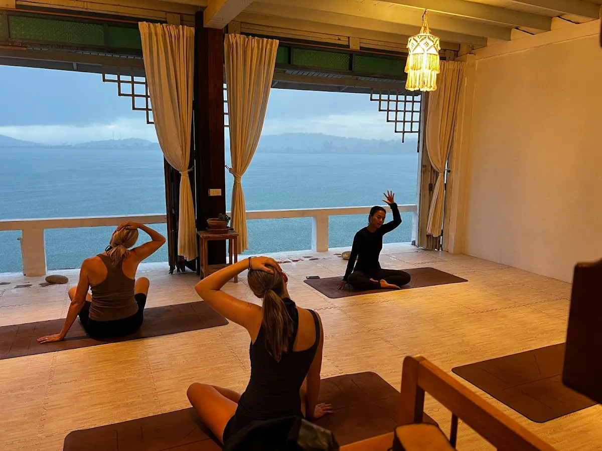 Mind Space Studio photo 3