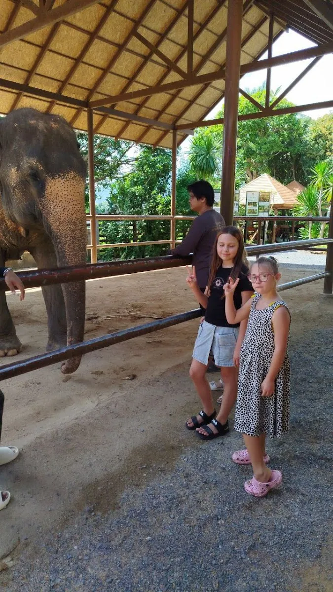 Tropical Kaleidoscope Samui photo 2