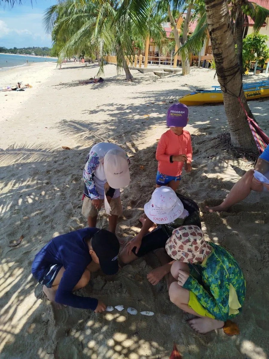 Tropical Kaleidoscope Samui