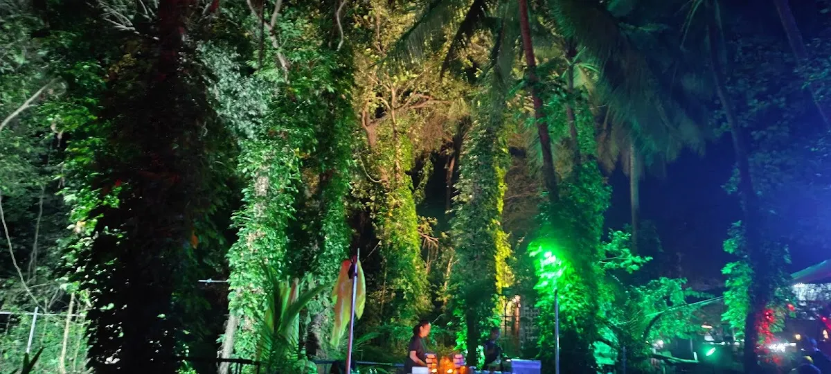 Electric Forest photo 3