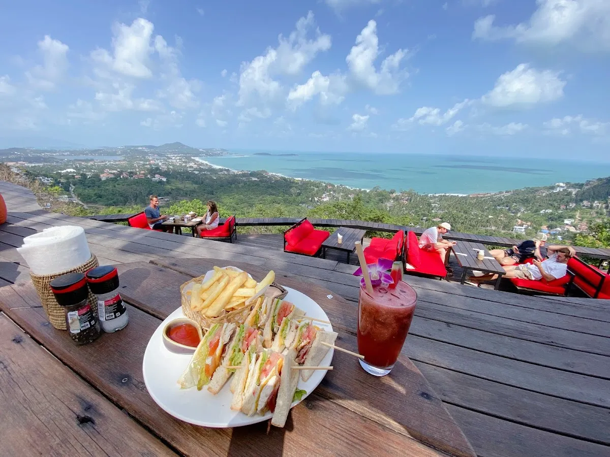 The Jungle Club photo 2