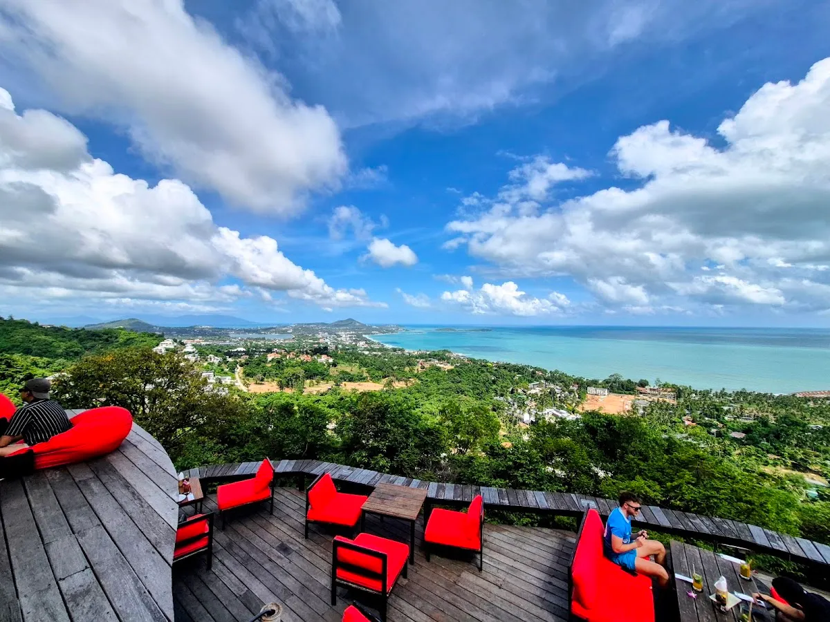 The Jungle Club photo 3