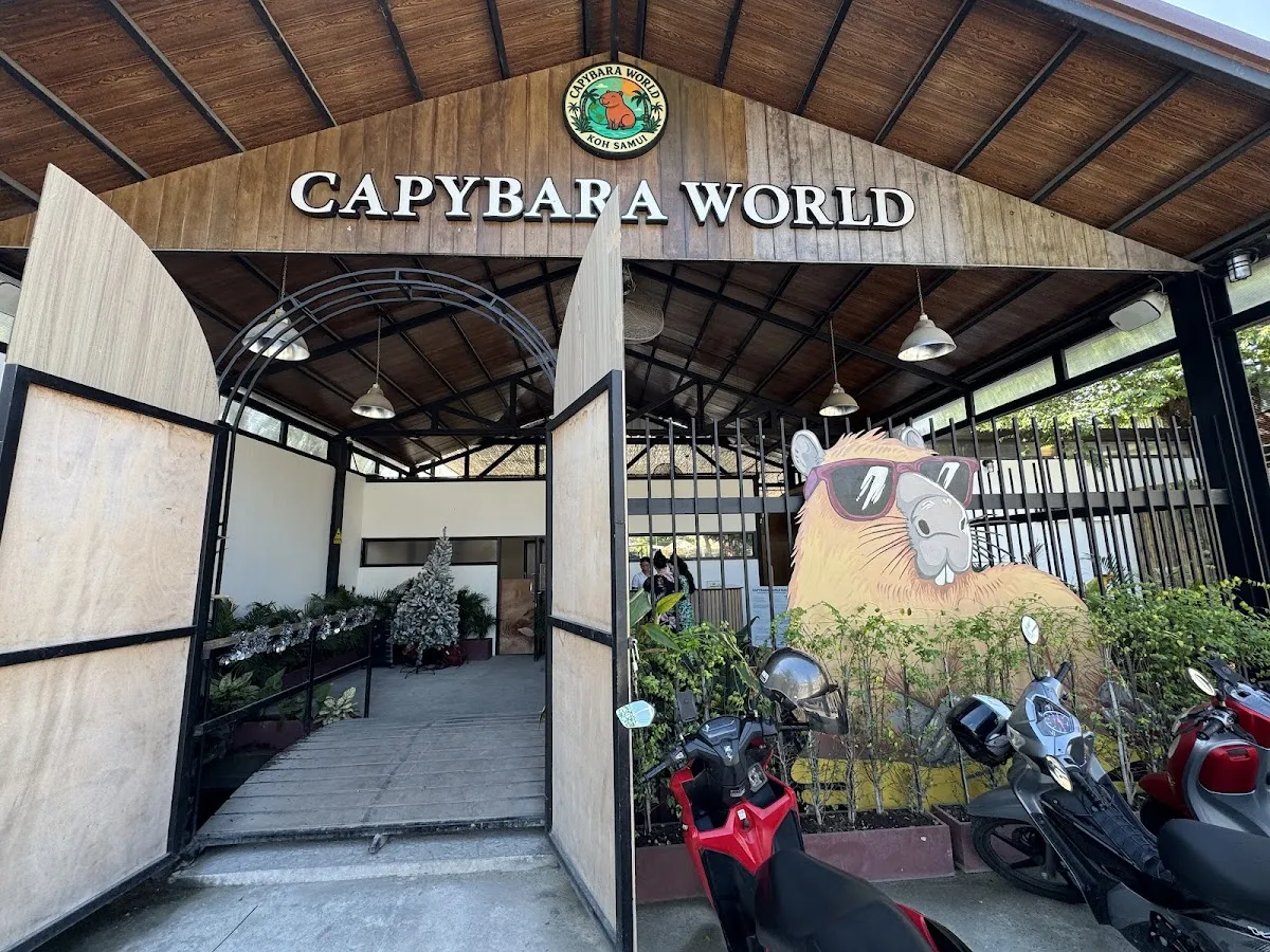 Capybara World Koh Samui