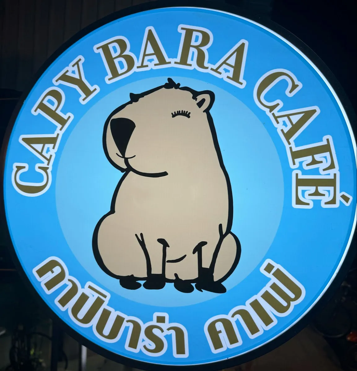CapyBARa fisherman’s village photo 2